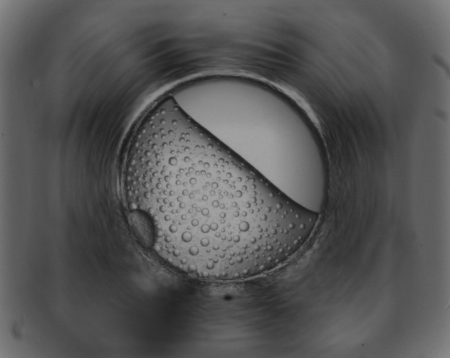 X0000093220887200709261629