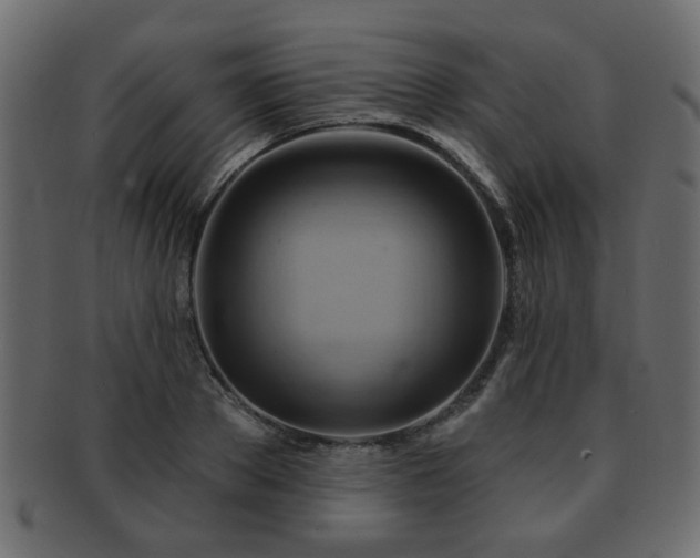 X0000093220889200709261629
