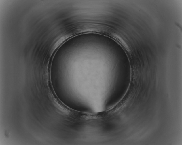 X0000093220890200709261629