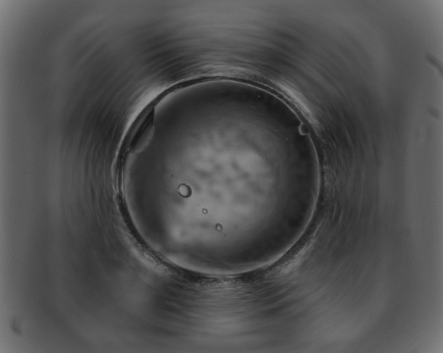 X0000093220891200709261629