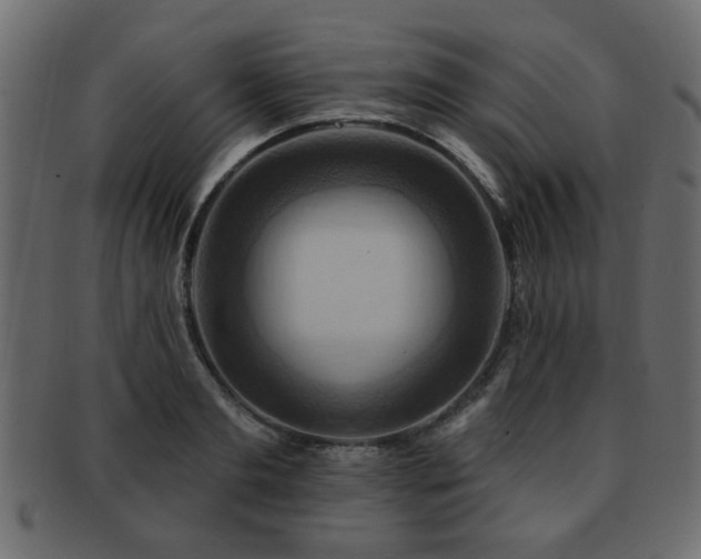 X0000093220893200709261629