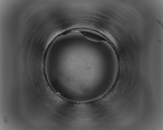 X0000093220896200709261629
