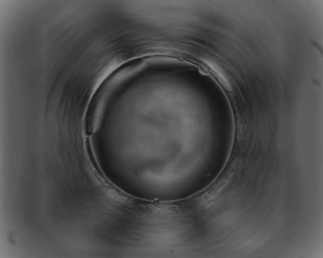 X0000093220899200709261629