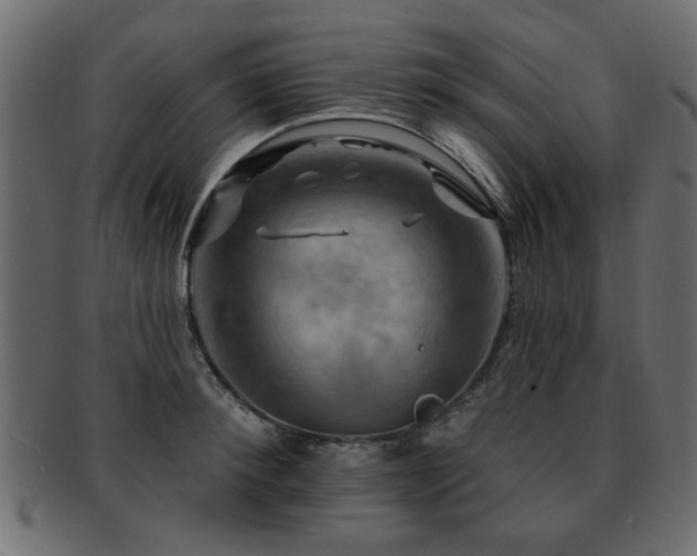 X0000093220900200709261629
