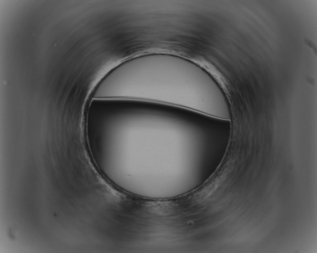 X0000093220902200709261629