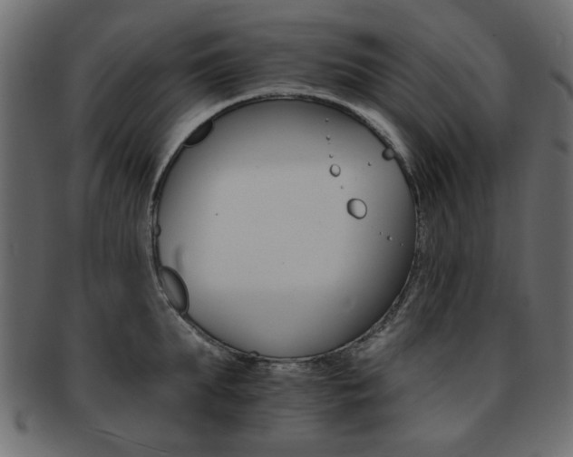 X0000093220903200709261629