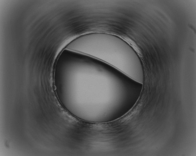 X0000093220904200709261629