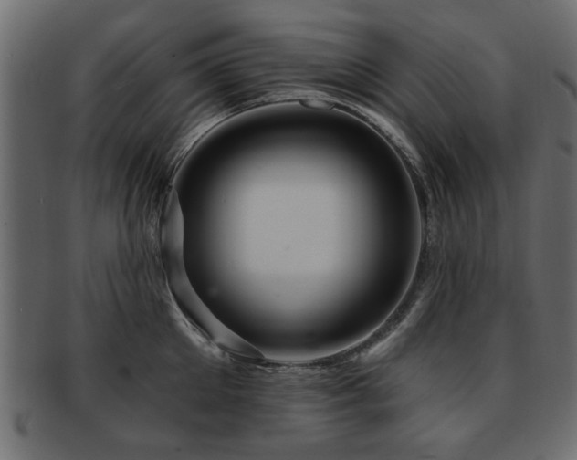 X0000093220905200709261629
