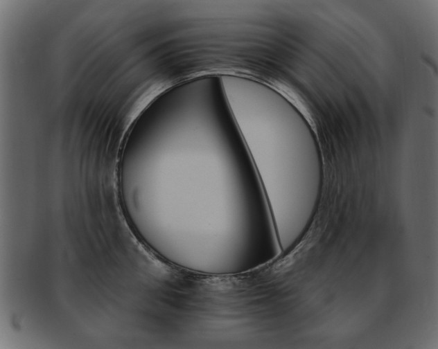 X0000093220906200709261629