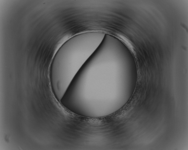 X0000093220907200709261629