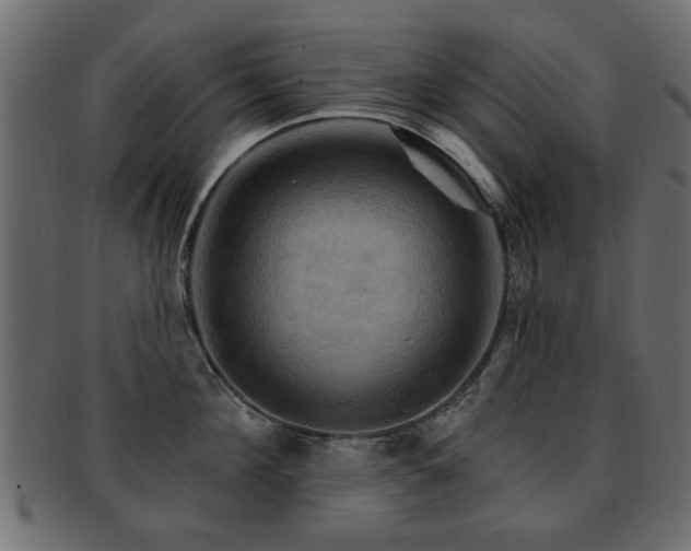 X0000093220908200709261629