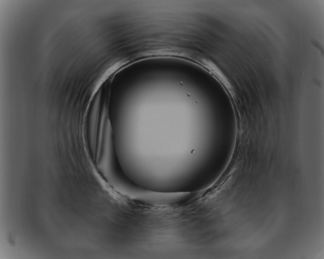 X0000093220909200709261629