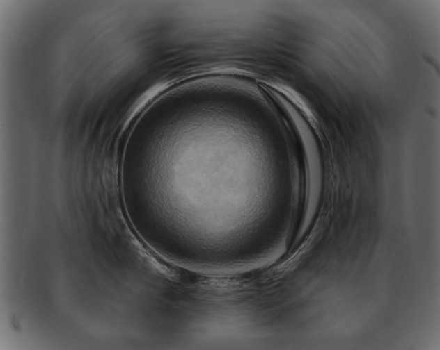 X0000093220910200709261629