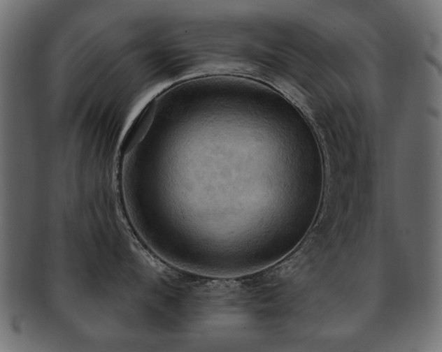 X0000093220912200709261629