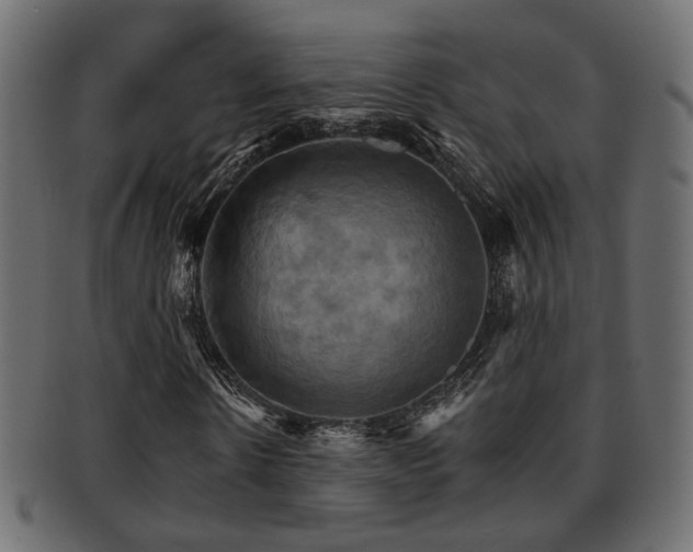 X0000093220914200709261628