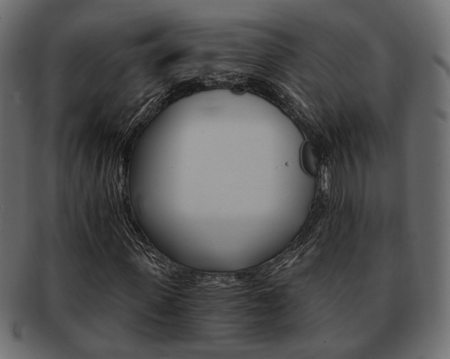 X0000093220915200709261628
