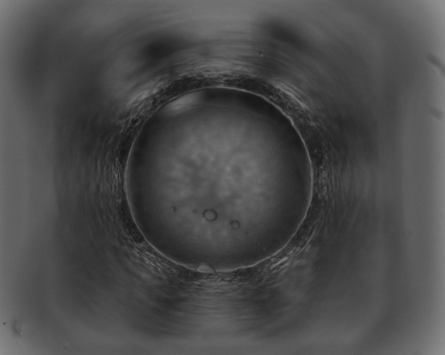 X0000093220917200709261628