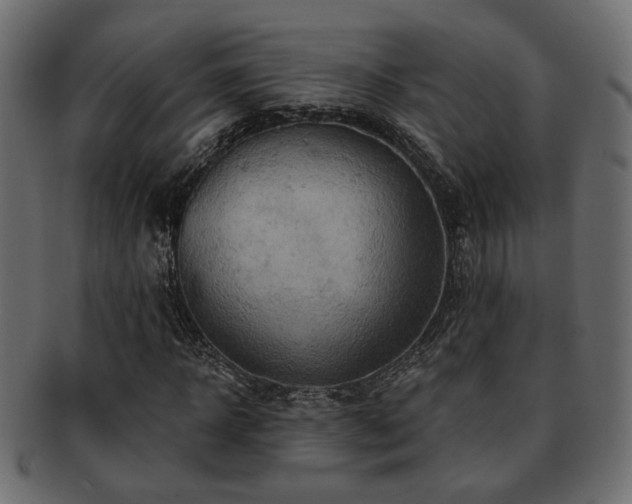 X0000093220918200709261628