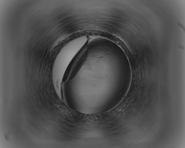 X0000093220919200709261628