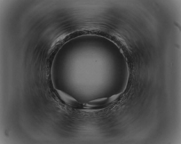 X0000093220920200709261628