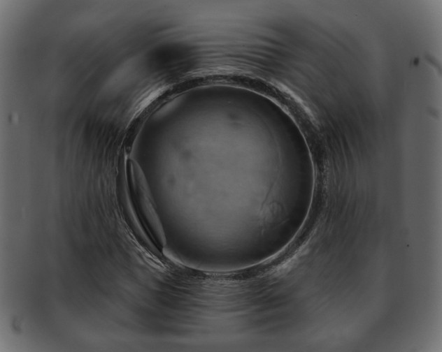 X0000093220921200709261628