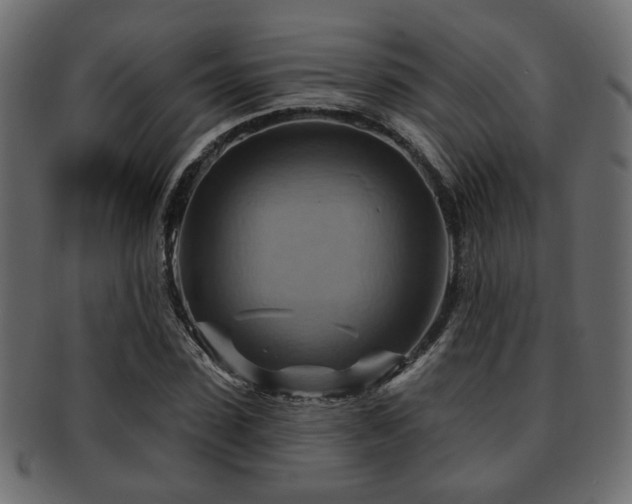 X0000093220923200709261628