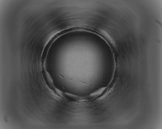 X0000093220924200709261628