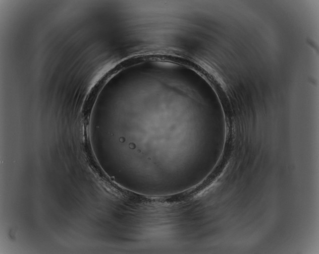 X0000093220925200709261628