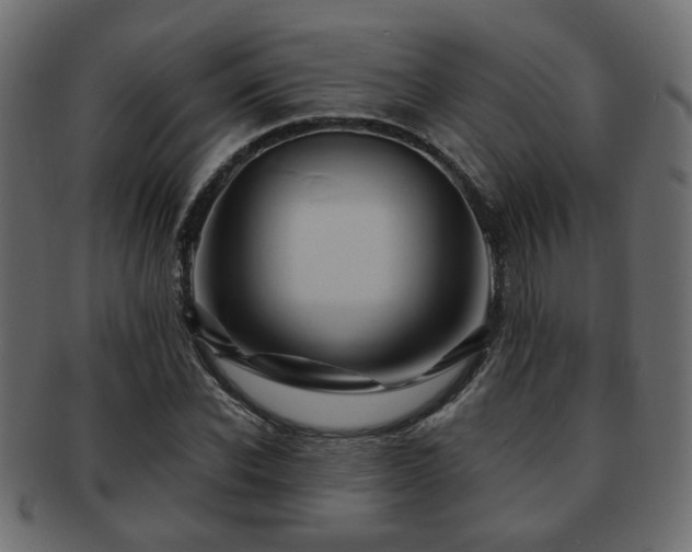 X0000093220926200709261628