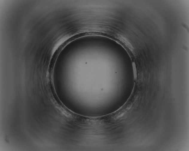 X0000093220928200709261628