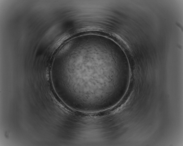 X0000093220929200709261628