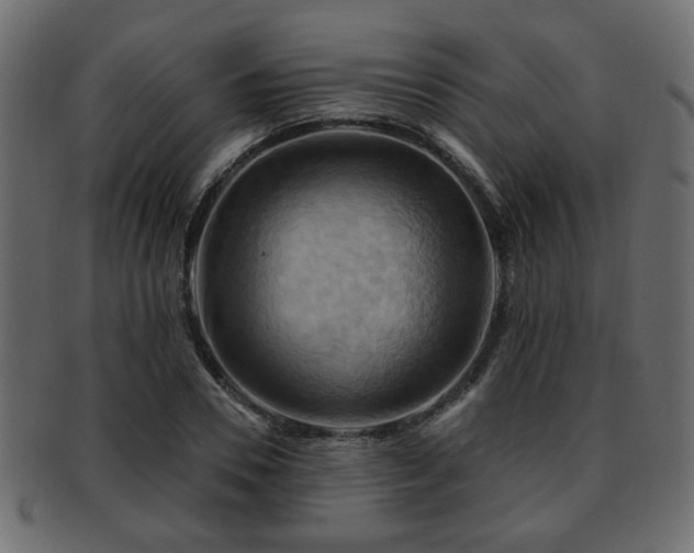 X0000093220930200709261628