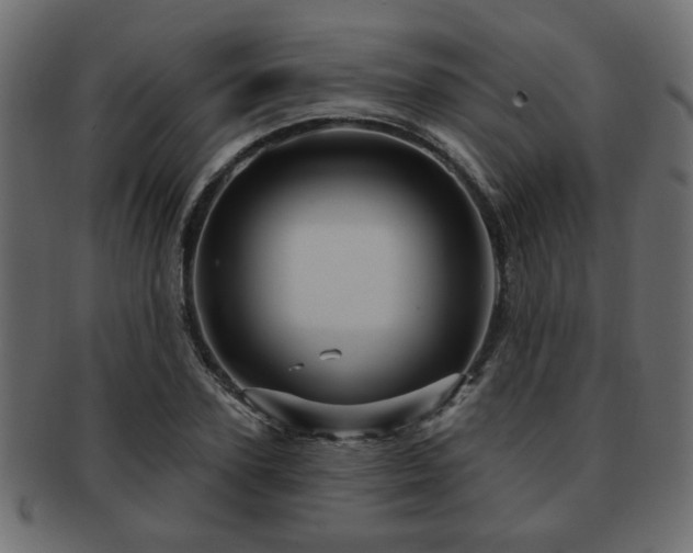 X0000093220931200709261628