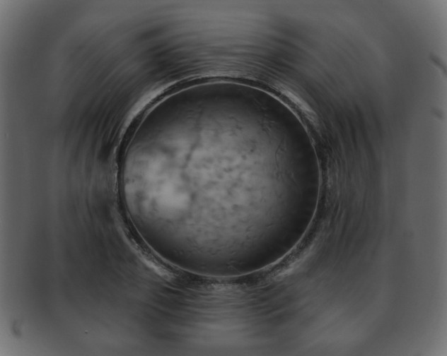 X0000093220933200709261628