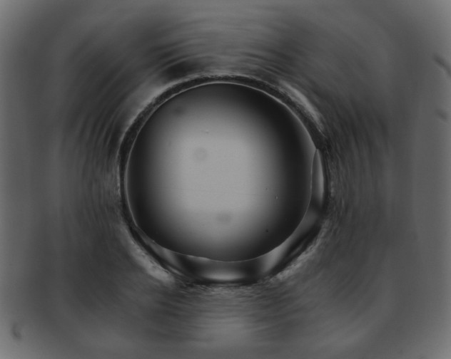 X0000093220934200709261628