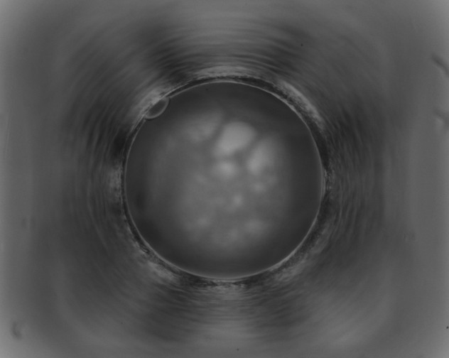 X0000093220937200709261628