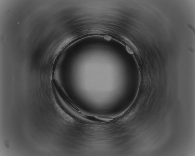 X0000093220938200709261628