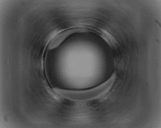 X0000093220940200709261629