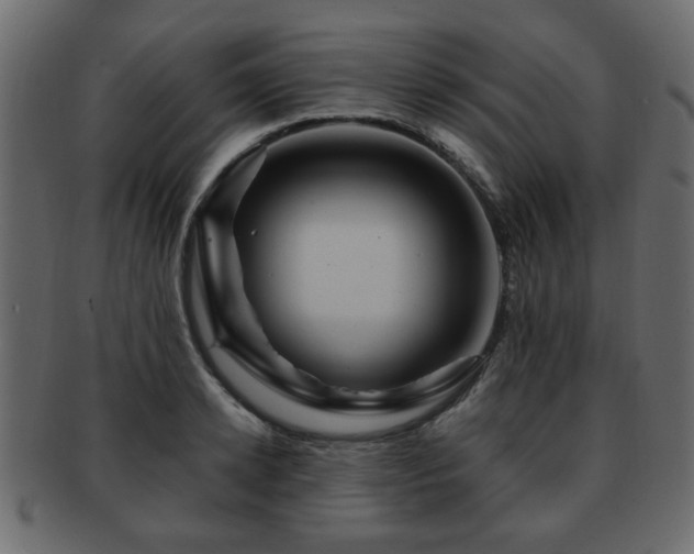 X0000093220942200709261629