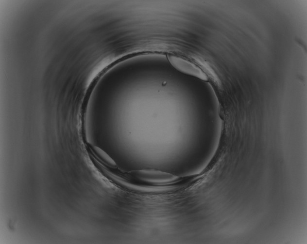 X0000093220944200709261629