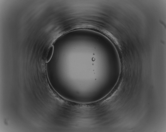 X0000093220945200709261629