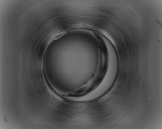 X0000093220946200709261629