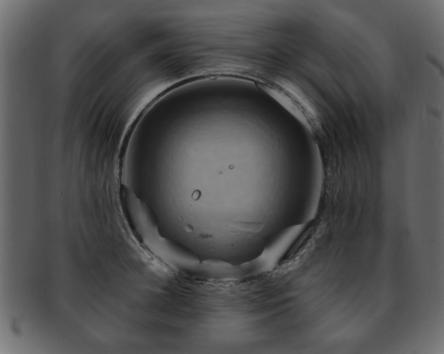 X0000093220948200709261629