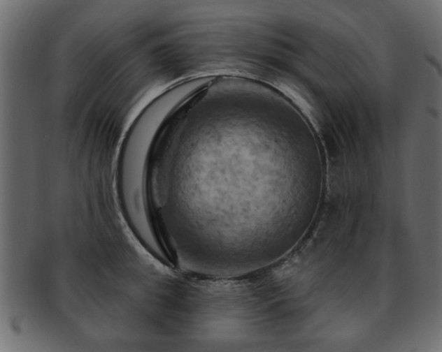 X0000093220949200709261629