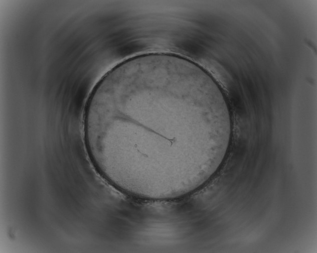 X0000093220950200709261629