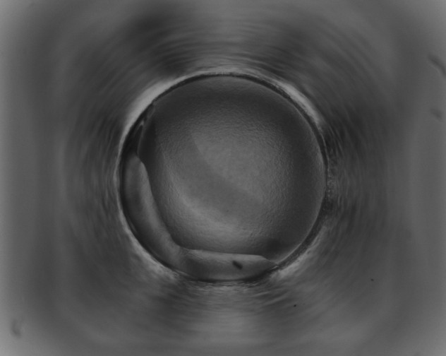 X0000093220951200709261629