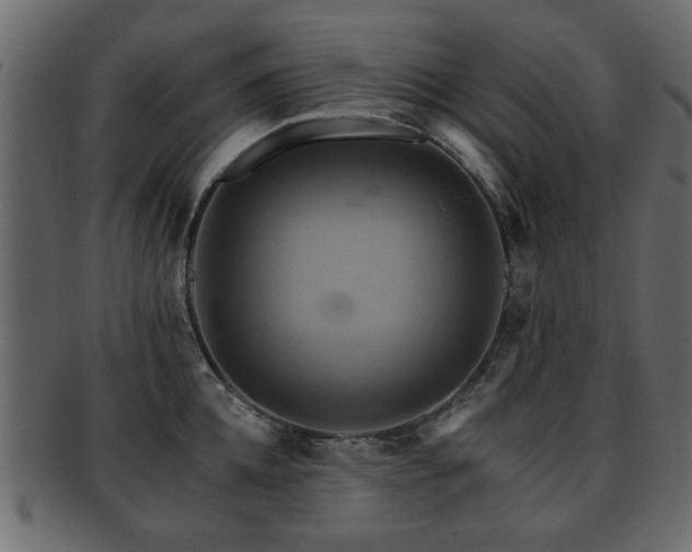 X0000093220952200709261629