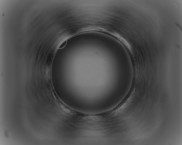 X0000093220953200709261629
