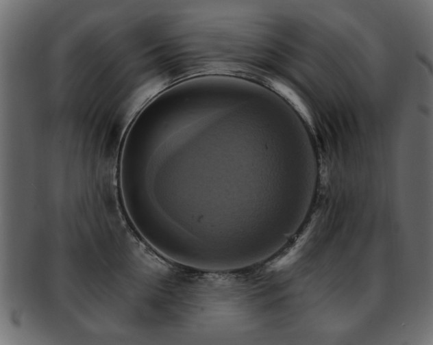 X0000093220954200709261629