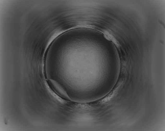 X0000093220955200709261629